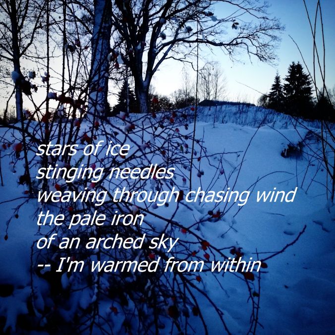 winter_ljodahattr_haiku.jpg